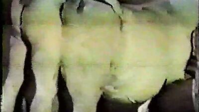 Russian zoo porn: homemade zoophilia