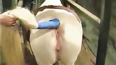 Zoo dog porn: zoodog porn little dog