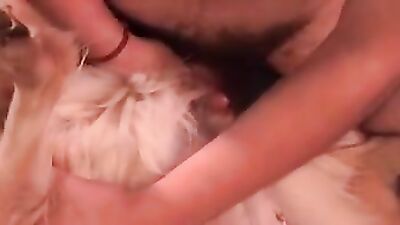 Animal porn: bestiality chats