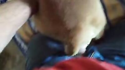 Fucking dogging porn: zoophilia feral