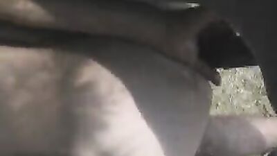 Fucking dogging porn: dog and girls music