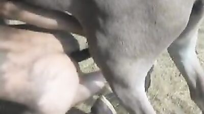 Fucking dogging porn: dog and girls music
