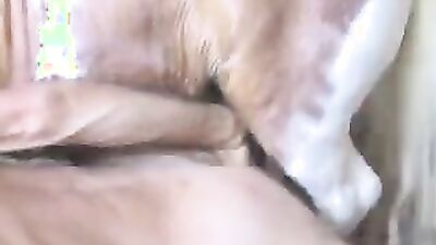 Zoo fuck porn: art of zoo team russia porno