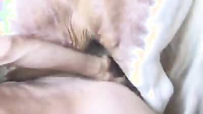 Zoo fuck porn: art of zoo team russia porno