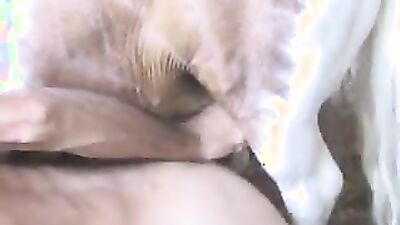 Zoo fuck porn: art of zoo team russia porno