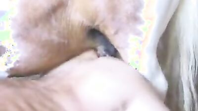 Zoo fuck porn: art of zoo team russia porno