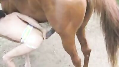 Zoo horse porn: dog hard fucking girls