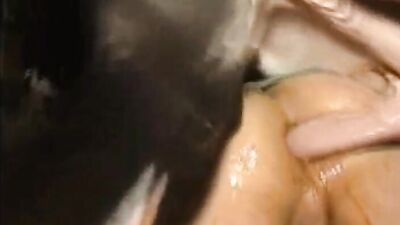 Animal cross porn: bestiality pmv