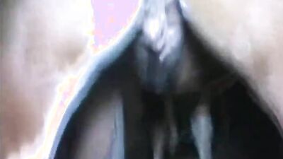 Dog sex video: dogs sex young