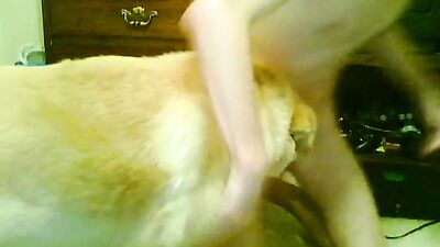Dog girl anal: bestiality 4