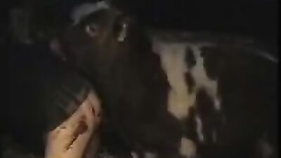 Zoo video: hentai anal dog and girl