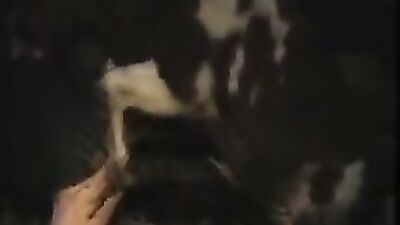 Zoo video: hentai anal dog and girl