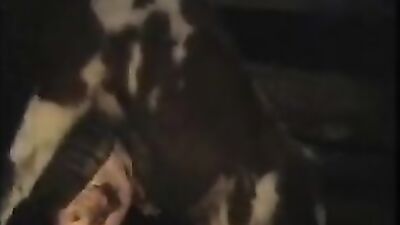 Zoo video: hentai anal dog and girl