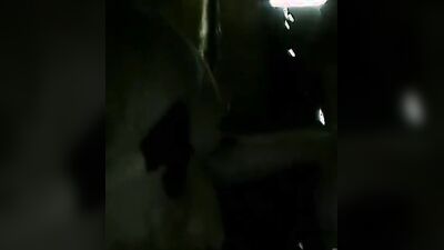 Zoo porn 2026: homemade animal sex