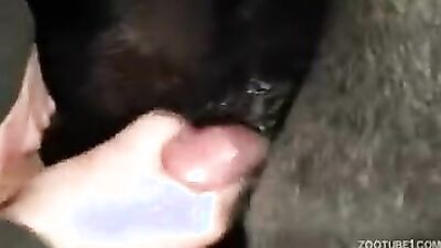 Boy girl dog: dog anal fuck porn