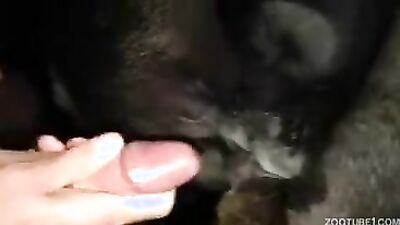 Boy girl dog: dog anal fuck porn