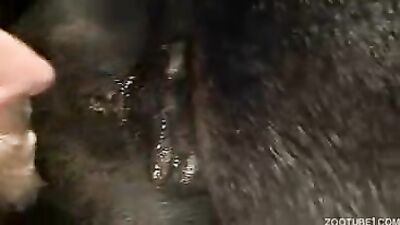 Boy girl dog: dog anal fuck porn