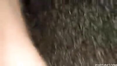 Gay zoo porn: home dog sex 2026