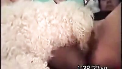 Dog teen girls: zoo porn riding