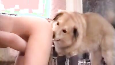 Teen zoo porn: teen porno bestiality homemade