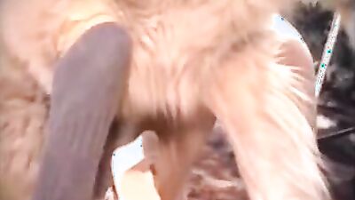 Teen zoo porn: teen porno bestiality homemade