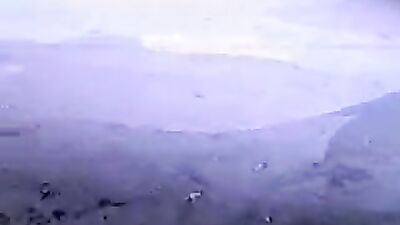 1 girl 5 dog: zoo porn xxx man