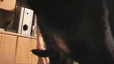 Zoo sex: wife fuck dog bestiality video