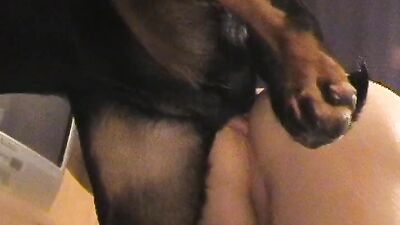 Zoo sex: wife fuck dog bestiality video