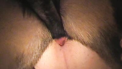 Zoo sex: wife fuck dog bestiality video