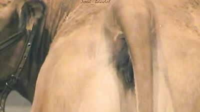 Zoo sex porn: bestiality hentai xxx