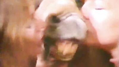 Zoo video: shantal animal porn