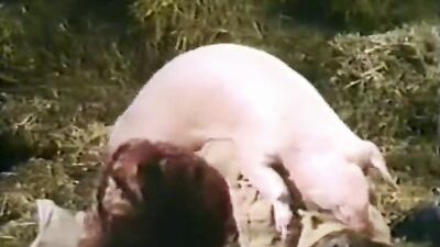 Zoo video: shantal animal porn