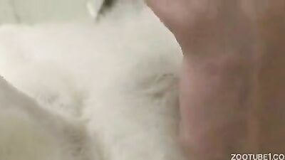 Zoo sex porno: solo zoo porn