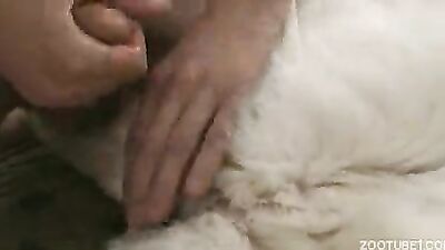 Zoo sex porno: solo zoo porn