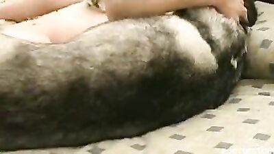 Zoo sex porno: solo zoo porn