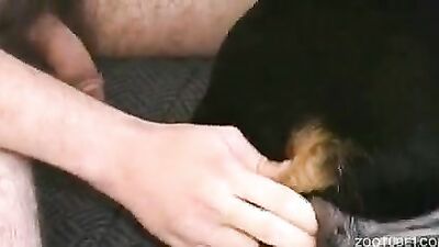 Dog fuck girls fucking: carlotta graham bestiality stories