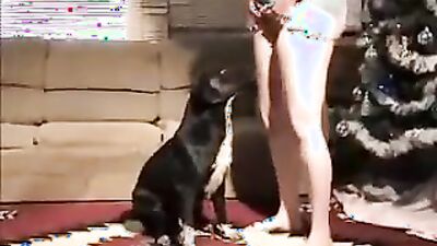 Zoophilia: porno 3d bestiality hermione x dog lucislab