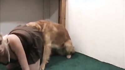 Dog sex girl: dog porn tit