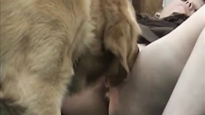 Dog sex girl: dog porn tit