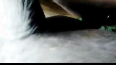 Zoo porn man: zoo porn marmalade