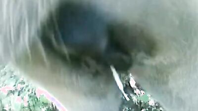 Animal cross porn: mature dog sex