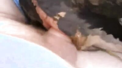 Dog fucking girl: zoo dildo porn telegram