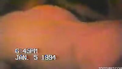 Gay zoo porn: webcam animal sex