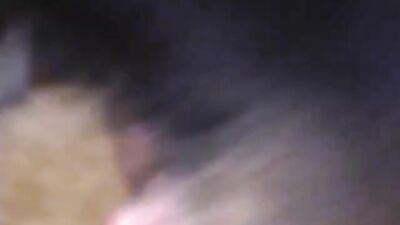 Zoo porn compilation: porn dog out