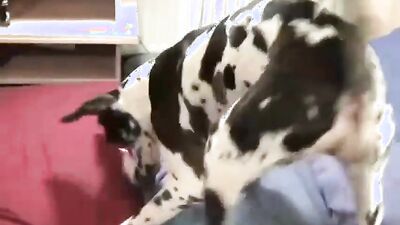 Animal cross porn: bestiality mom