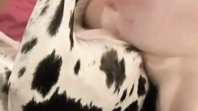 Animal cross porn: bestiality mom