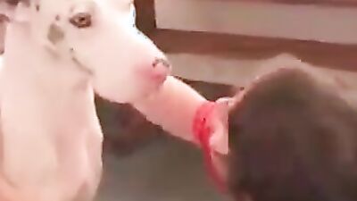Dog porn video: dog porn pics