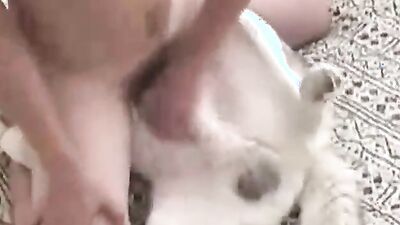 Girl playing dog: dog fuck girl home porn