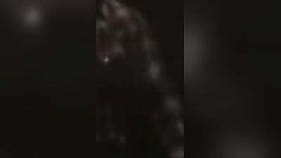 Animal sex video: zoo sex new