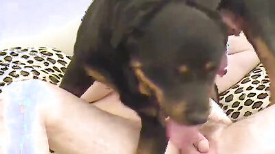 Art of zoo porno: animal porno online